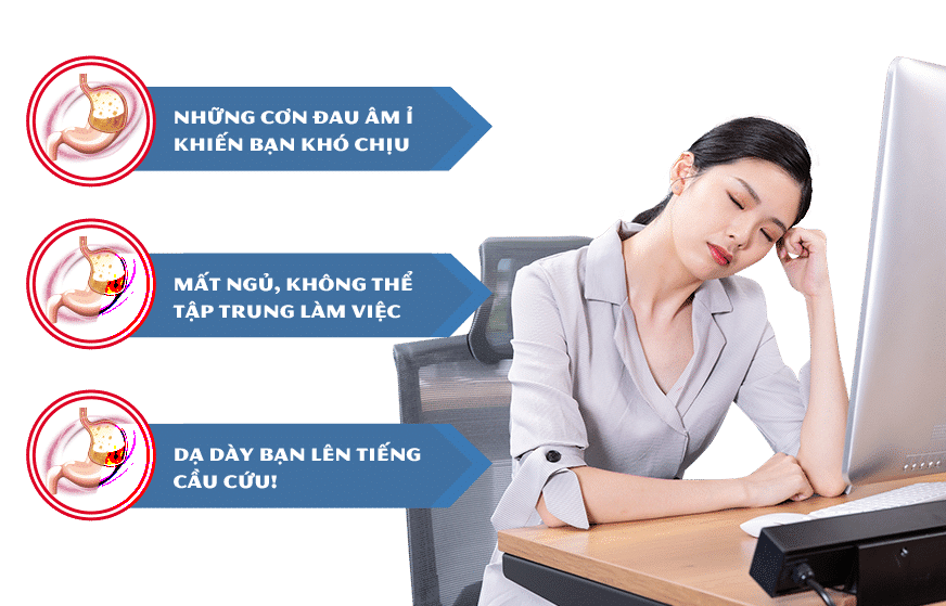 Dạ Dày Hoàn Dạ Dày Hoàn