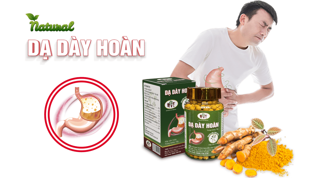 Dạ Dày Hoàn Dạ Dày Hoàn